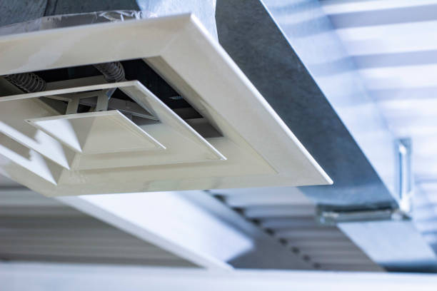 Best Air Duct Mold Removal  in Kerman, CA